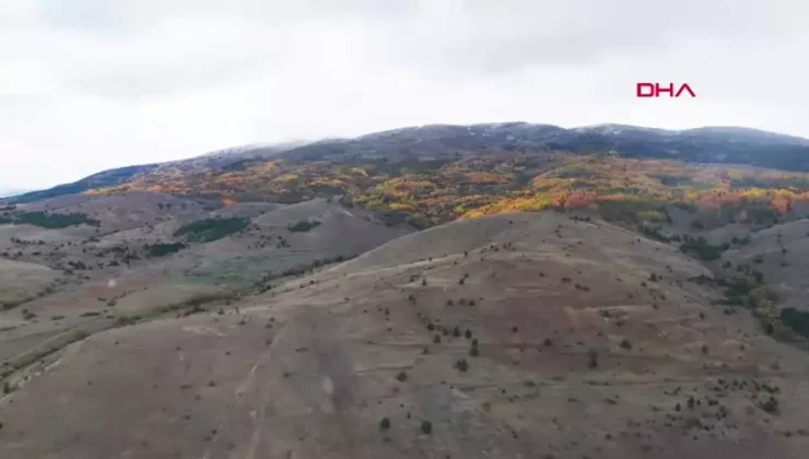 Erzincan Dağları Sonbahar Güzellikleriyle Büyülüyor