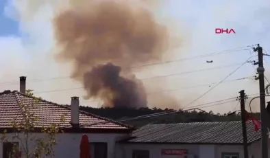 Muğla’da Orman Yangınlarına Müdahale Devam Ediyor